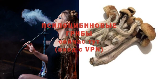 PSILOCYBIN Волоколамск